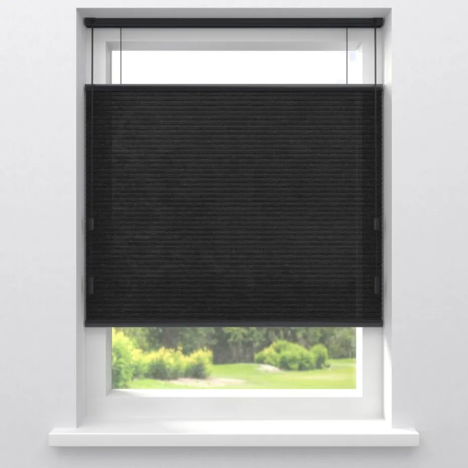 Fenstr Dubbel Plissé Jana Zwart Lichtdoorlatend