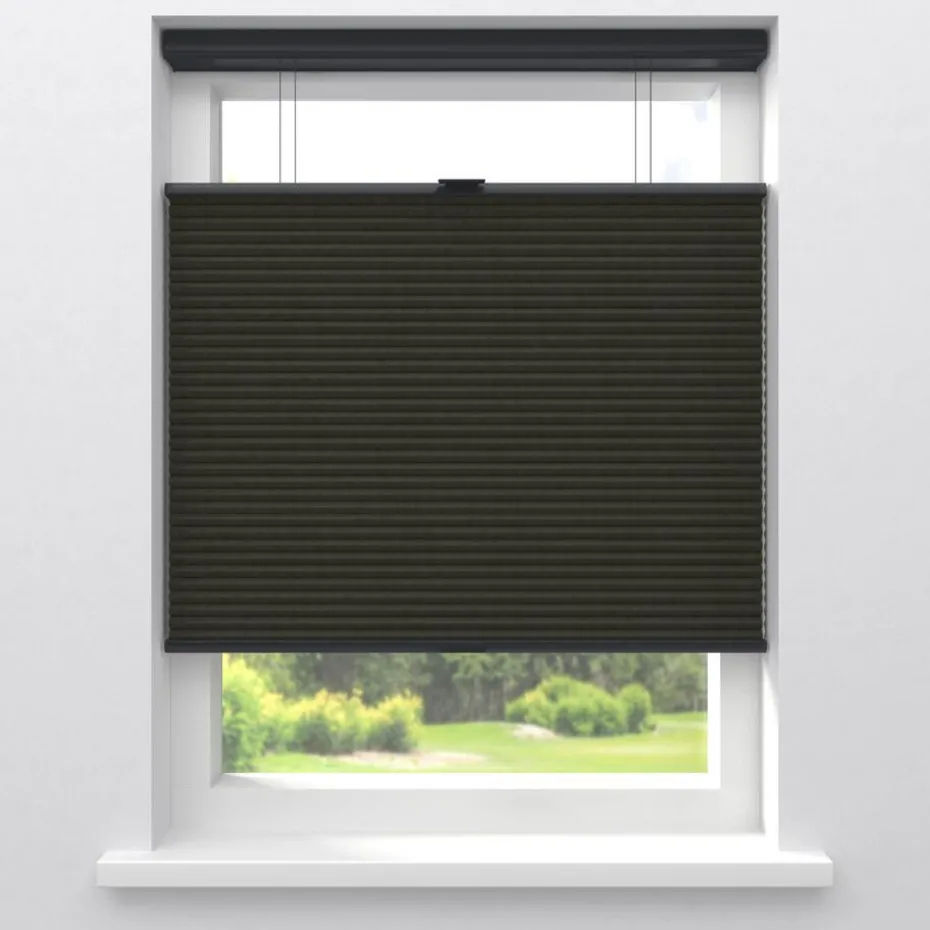 Fenstr Dubbel Plissé 45mm Lot Espresso Verduisterend