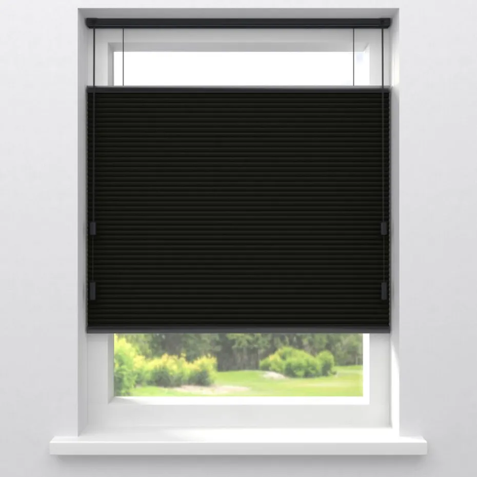 Fenstr Dubbel Plissé Suus Zwart Verduisterend
