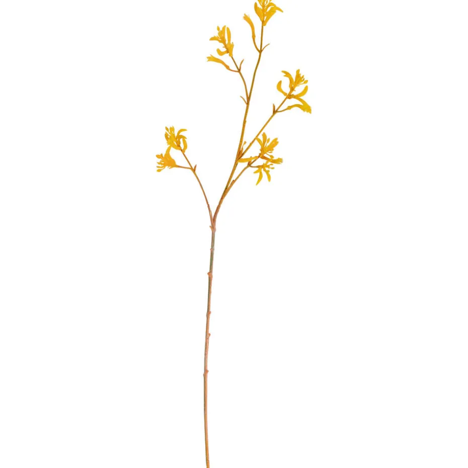 Kunsttak Kangoeroe Pootje Geel