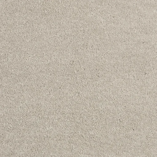 Staal Tapijt Canora Beige