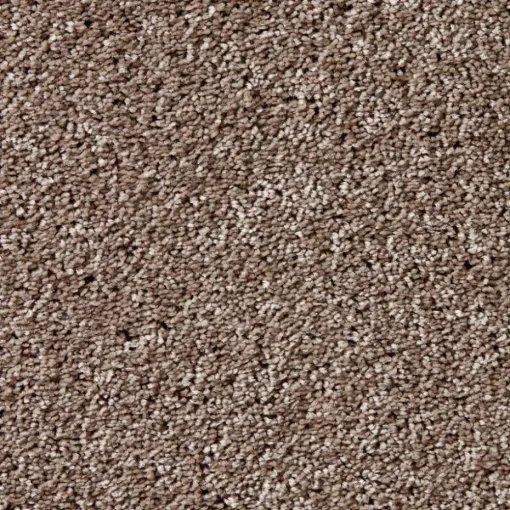 Staal Tapijt Leetsdale Beige