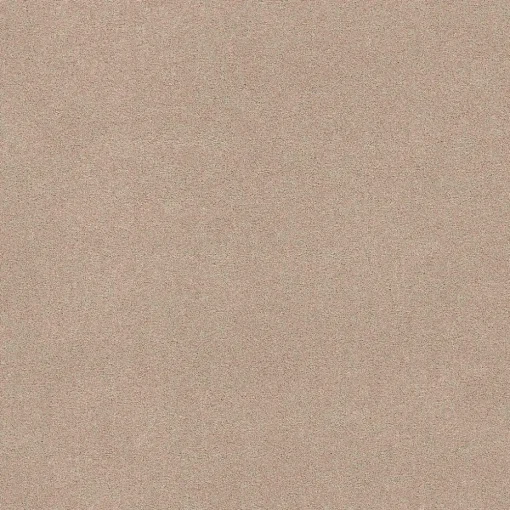 Staal Tapijt Peetz Beige